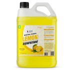 Lemon Disinfectant 5 Litre